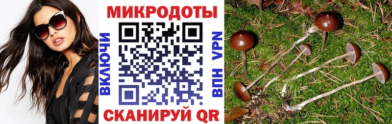 Псилоцибиновые грибы MAGIC MUSHROOMS  Купить  Изобильный 